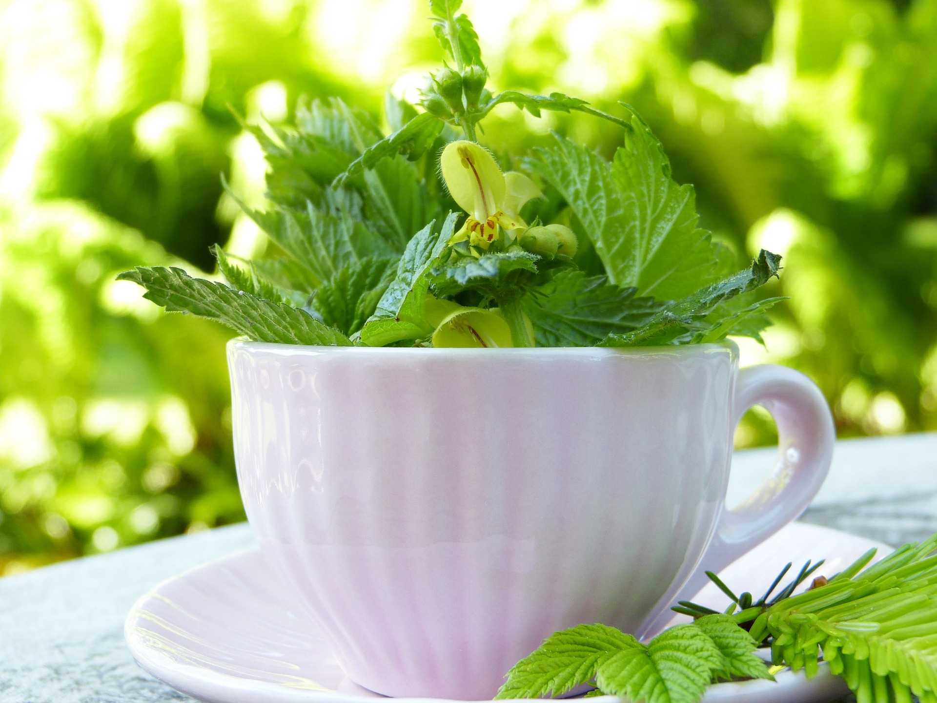 cup-g4cfdb17ef_1920